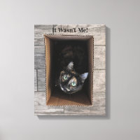 It Wasn't Me! Canvas Art