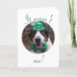 "It wasn't me!" Holiday Card