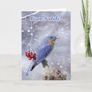 Italian - Blue Bird Christmas Greeting Card