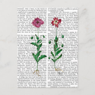 Italian Carnation 3 Postcard