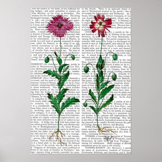 Italian Carnation 3 Poster (Front)