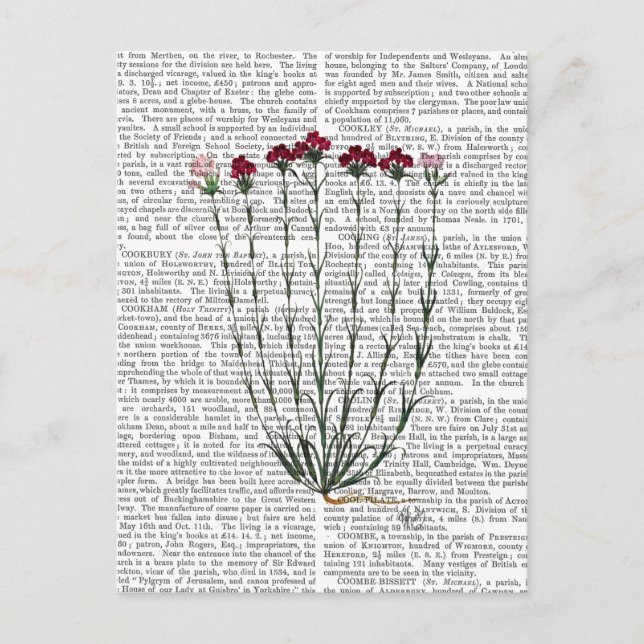 Italian Carnation 4 Postcard (Front)