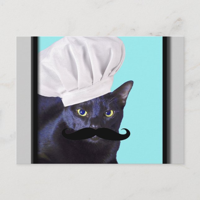 Italian Chef, Black Cat Postcard (Front)