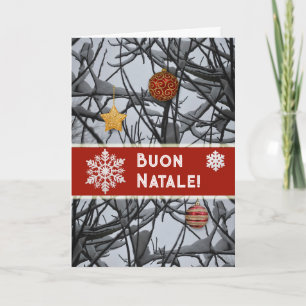 Italian Christmas Ornaments on Snowy Branches Holiday Card