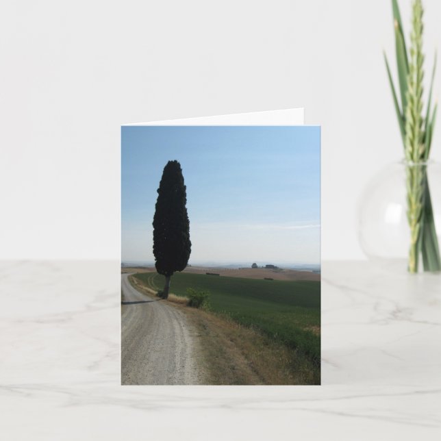 Italian Cypress Note Cards (Front)
