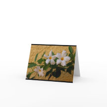 Italian Flowers note card