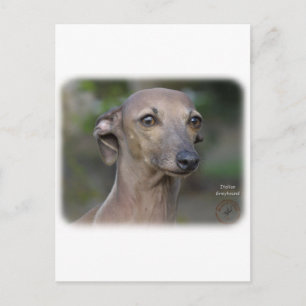 Italian Greyhound 9K74D-19 Postcard
