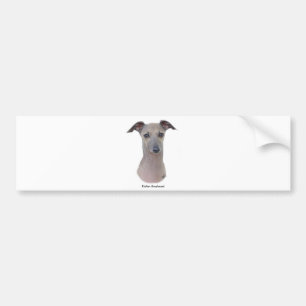 Italian Greyhound 9K75D-11 Bumper Sticker