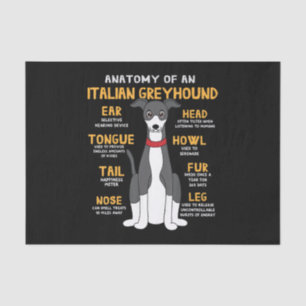 Italian Greyhound Anatomy Funny Dog Mom Dad Gift Tissue Paper
