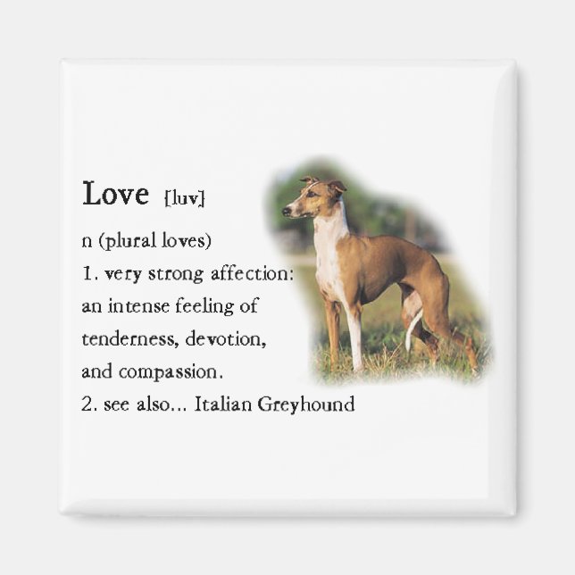 Italian Greyhound Art Gifts Magnet (Front)