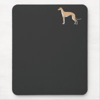 Italian Greyhound - Blue fawn