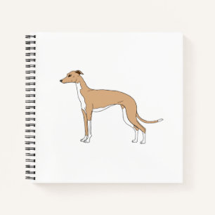 Italian Greyhound - Blue fawn Notebook