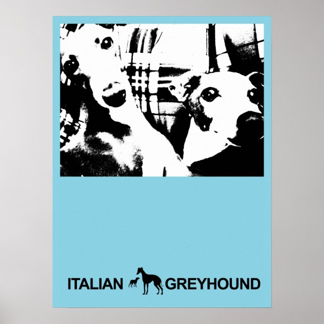 Italian Greyhound Blue Poster (Front)