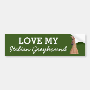 Italian Greyhound bumper sticker