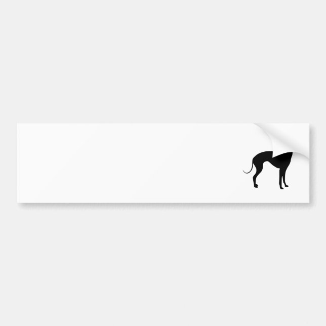 Italian Greyhound Bumper Sticker (Front)