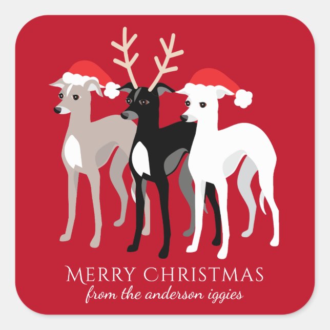 Italian Greyhound Christmas Iggy Square Sticker (Front)