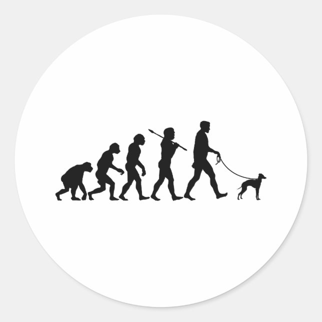 Italian Greyhound Classic Round Sticker (Front)