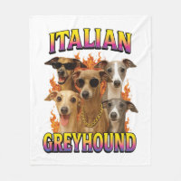 Italian Greyhound Copy