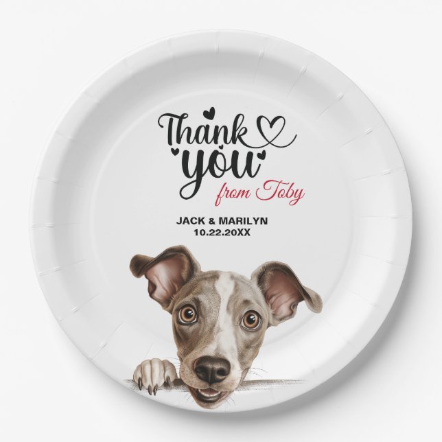Italian Greyhound Dog Paper Plate (Front)