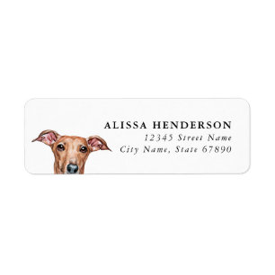 Italian Greyhound Dog Return Address Labels