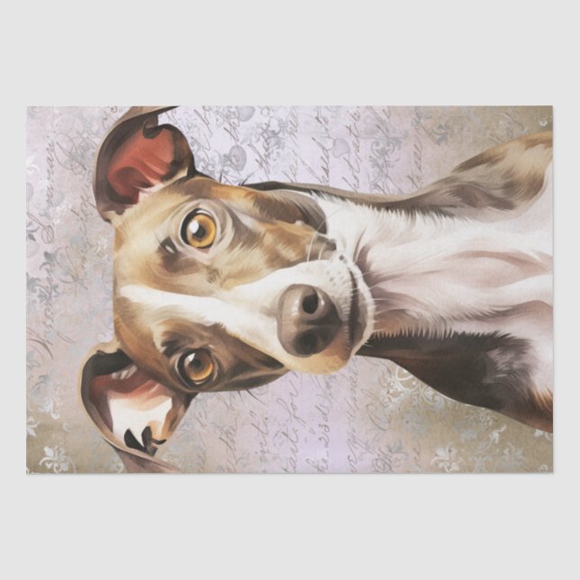 Italian Greyhound Dog Tissue Paper (Front)