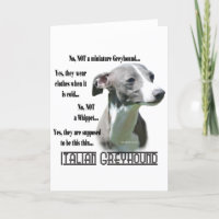 Italian Greyhound FAQ