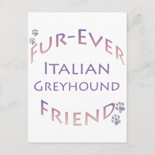 Italian Greyhound Furever Postcard