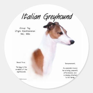 Italian Greyhound History Design Classic Round Sticker