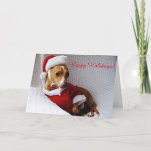 Italian Greyhound Holiday Greeting Card