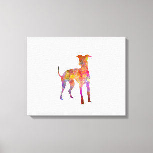 Italian Greyhound in watercolor Canvas Print