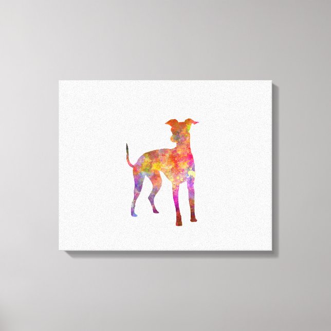Italian Greyhound in watercolor Canvas Print (Front)