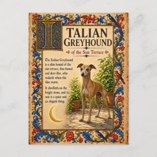 Italian Greyhound, Medieval Bestiary Art Postcard