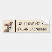 Italian Greyhound Painting - Cute Original Dog Art