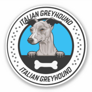 Italian Greyhound Peeking Illustration Badge