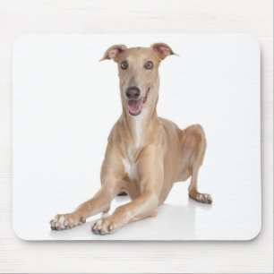Italian Greyhound Puppy Dog Mousepad