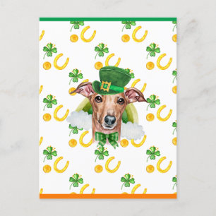 Italian Greyhound Shamrock St. Patricks Day Holiday Postcard