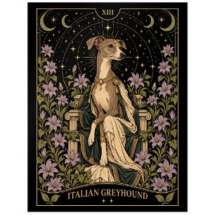 Italian Greyhound, Starlit Tarot Art Postcard