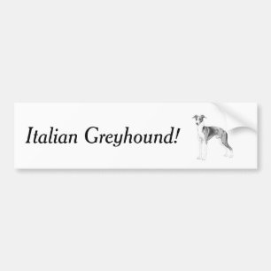 Italian Greyhound Style Bumper Sticker