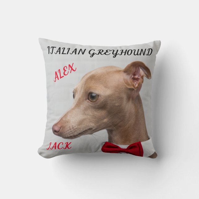 ITALIAN GREYHOUND THROW PILLOW WITH NAMES/MESSAGE. (Front)