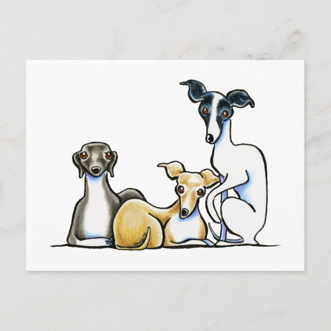 Italian Greyhound Trio Postcard (Front)