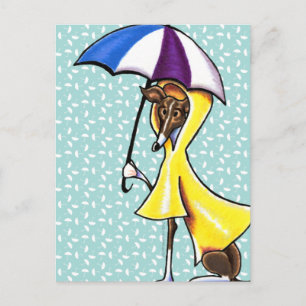 Italian Greyhound Umbrella Crazy Postcard