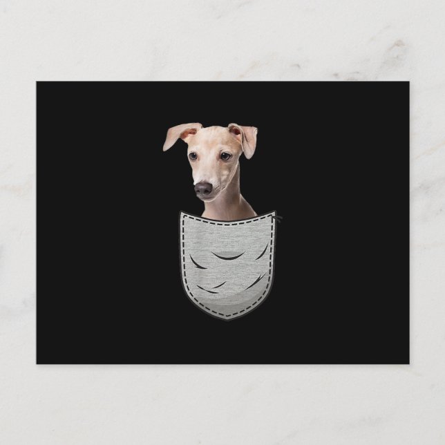 Italian Greyhound Whippet Chest Pocket For Dog Own Announcement Postcard (Front)