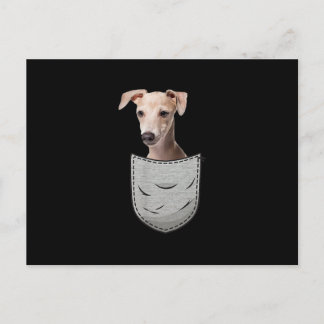 Italian Greyhound Whippet Chest Pocket For Dog Own Postcard