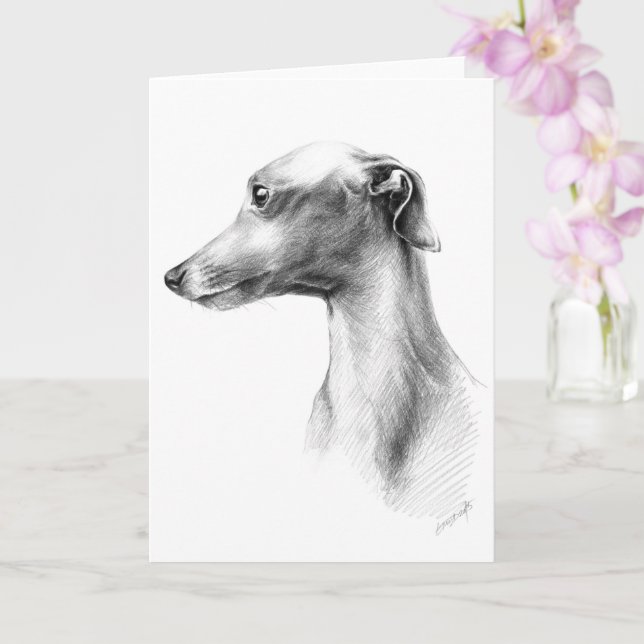 Italian Greyhound Whippet dog portrait drawing art Card (Orchid)