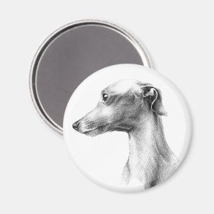 Italian Greyhound Whippet dog portrait drawing art Magnet