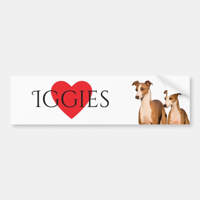 Italian Greyhounds Bumper Sticker (Front)