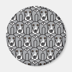 Italian Greyhounds Magnet