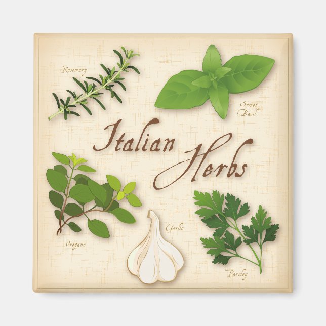 Italian Herbs, Basil, Oregano, Parsley, Garlic Magnet (Front)