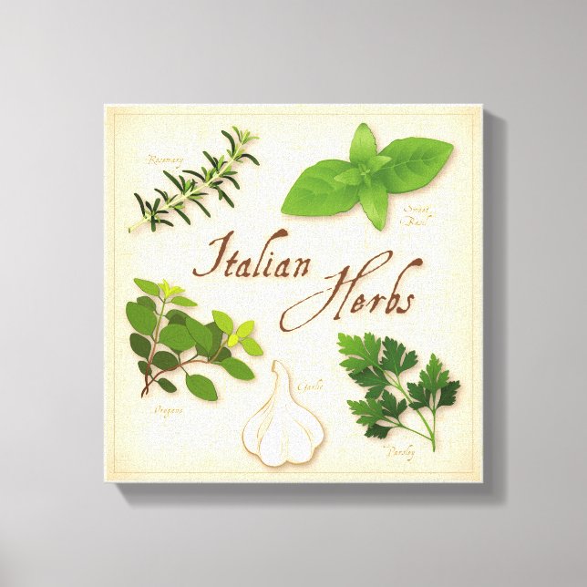 Italian Herbs Canvas Art (Front)