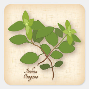 Italian Oregano Square Sticker